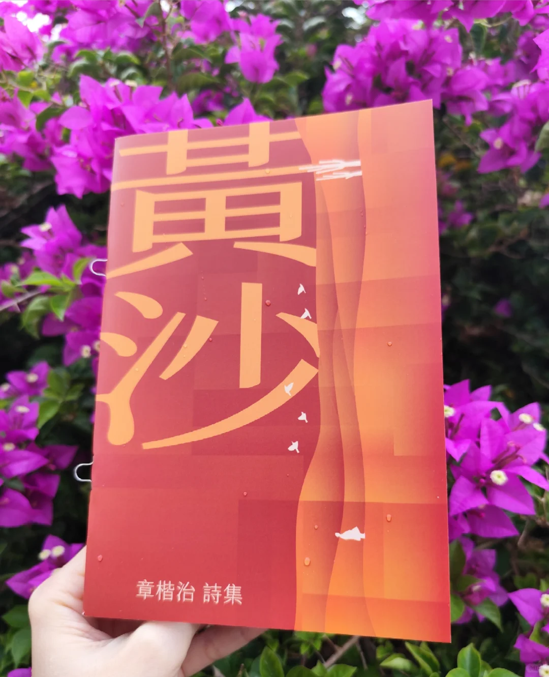 沙漠也能開出一朵花 推薦最新詩集《黃沙》