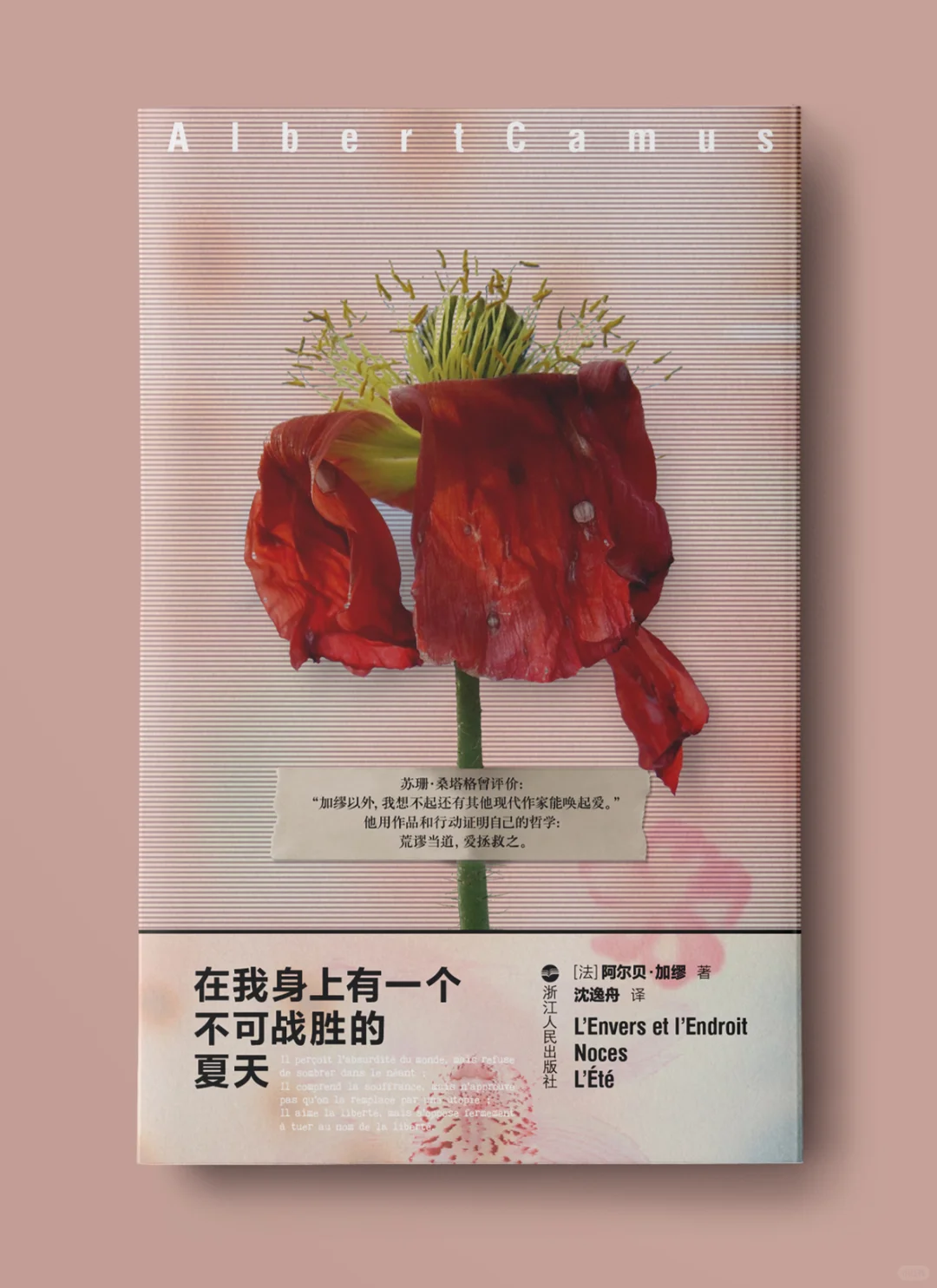 加缪新书！！求选封面！！！！🥺🥺