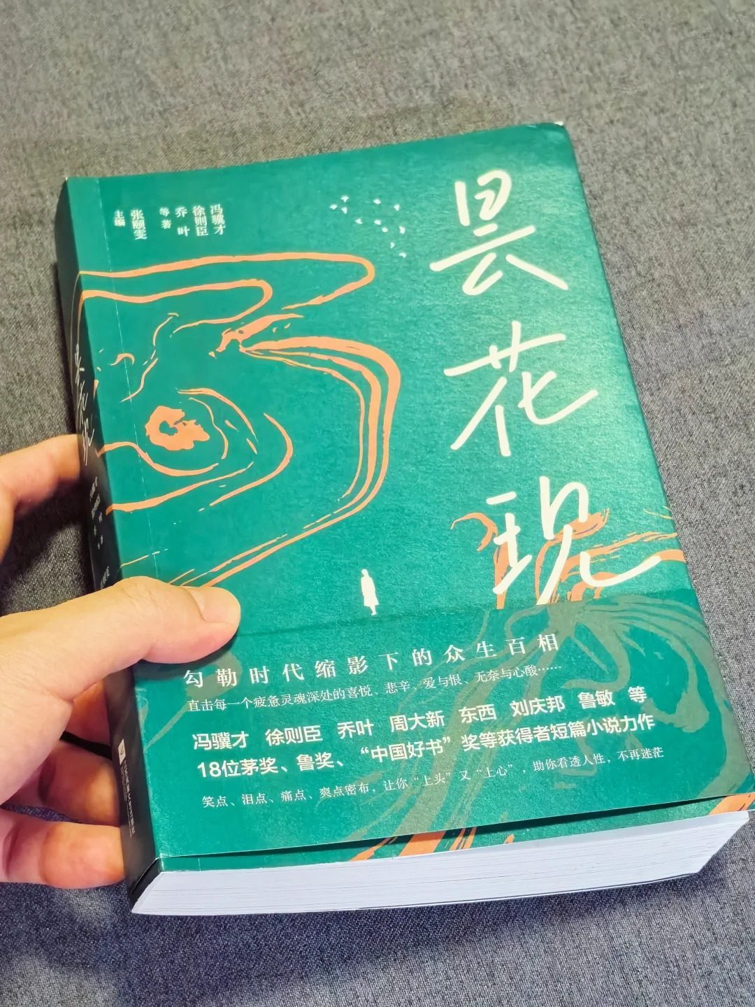 又是一本震撼着读完的小说集😭文笔太绝了