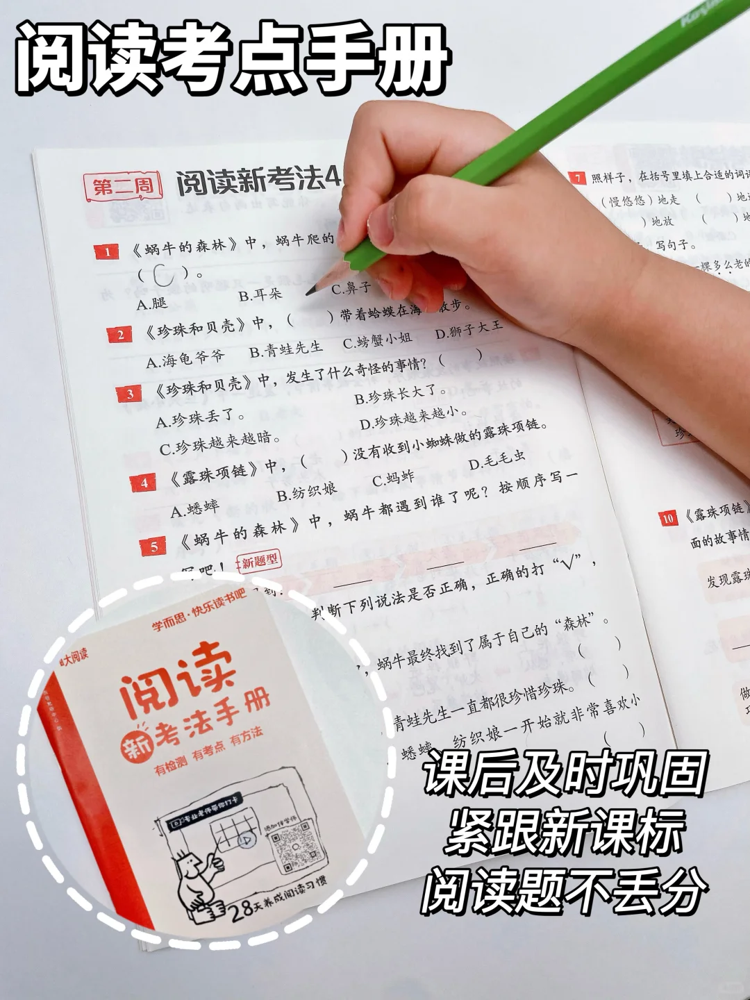 暑假不卷不鸡，抓住“阅读”开学就领先❗️