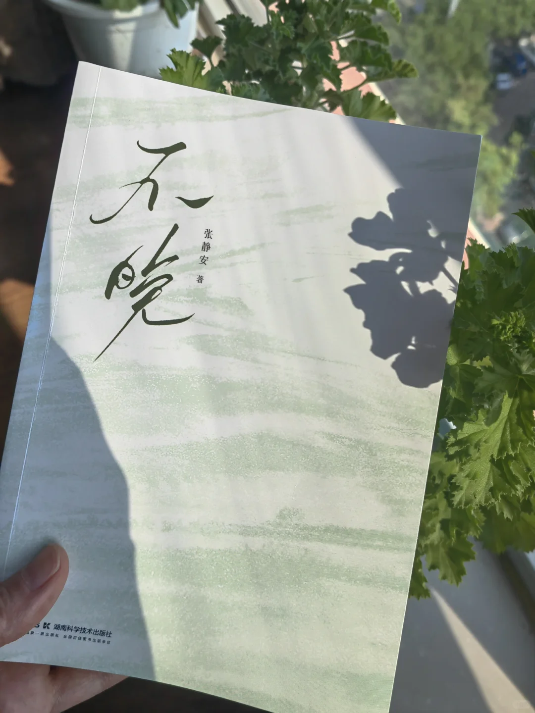 一眼沦陷，怎么会有这么温暖的书啊🥰！！