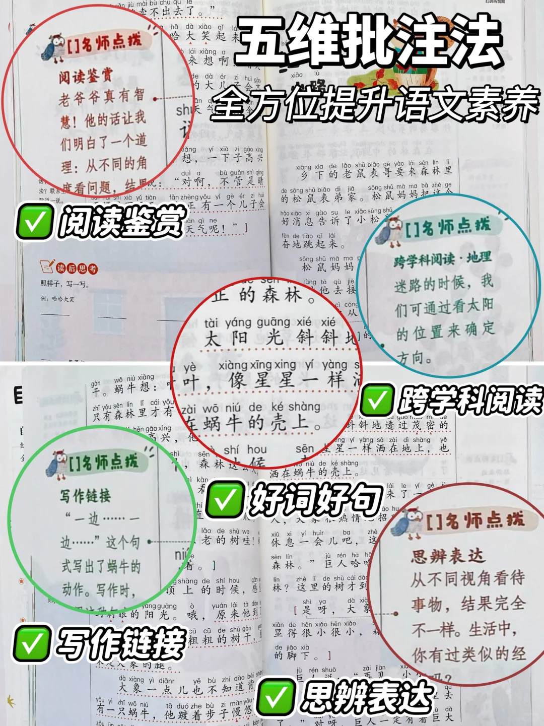 暑假不卷不鸡，抓住“阅读”开学就领先❗️