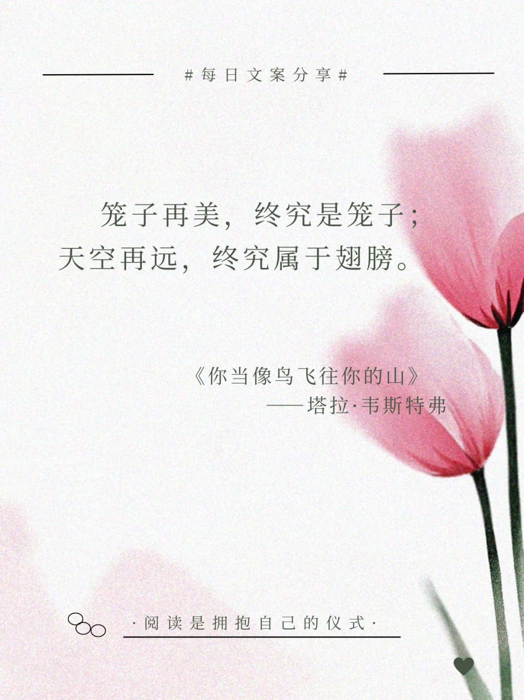 人到中年必读 ：世界名著无法超越的结束语