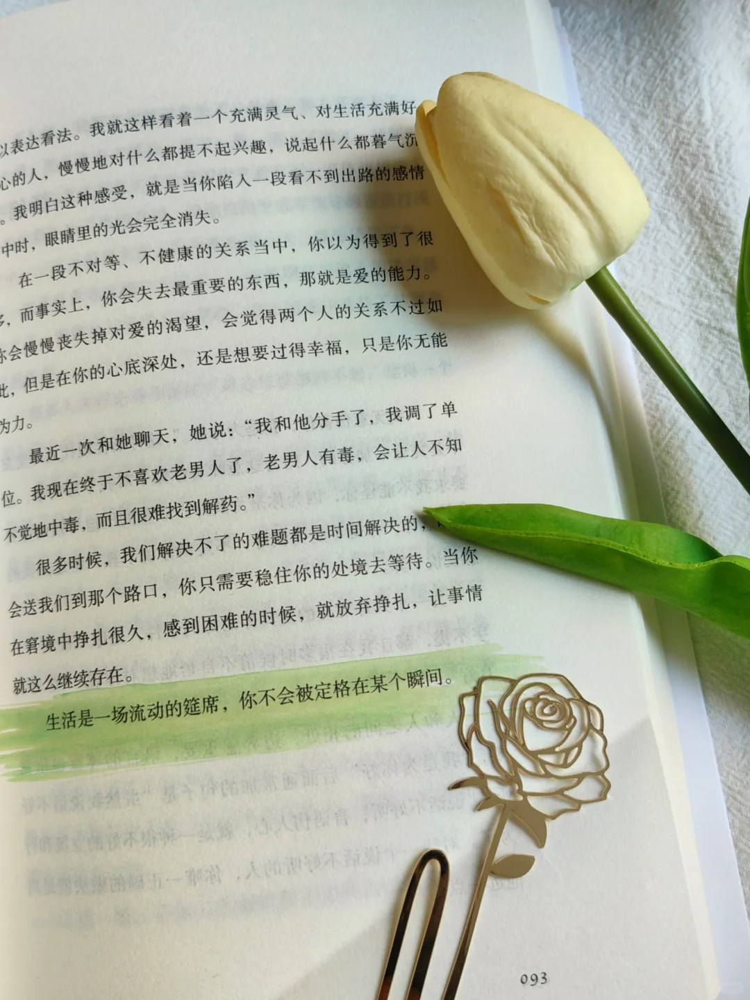 一眼沦陷，怎么会有这么温暖的书啊🥰！！