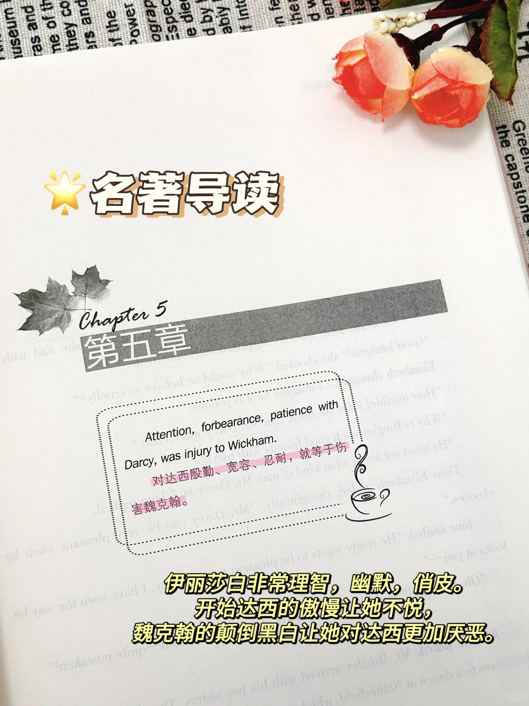 英语进阶秘籍🔥《傲慢与偏见》名著英文双享版