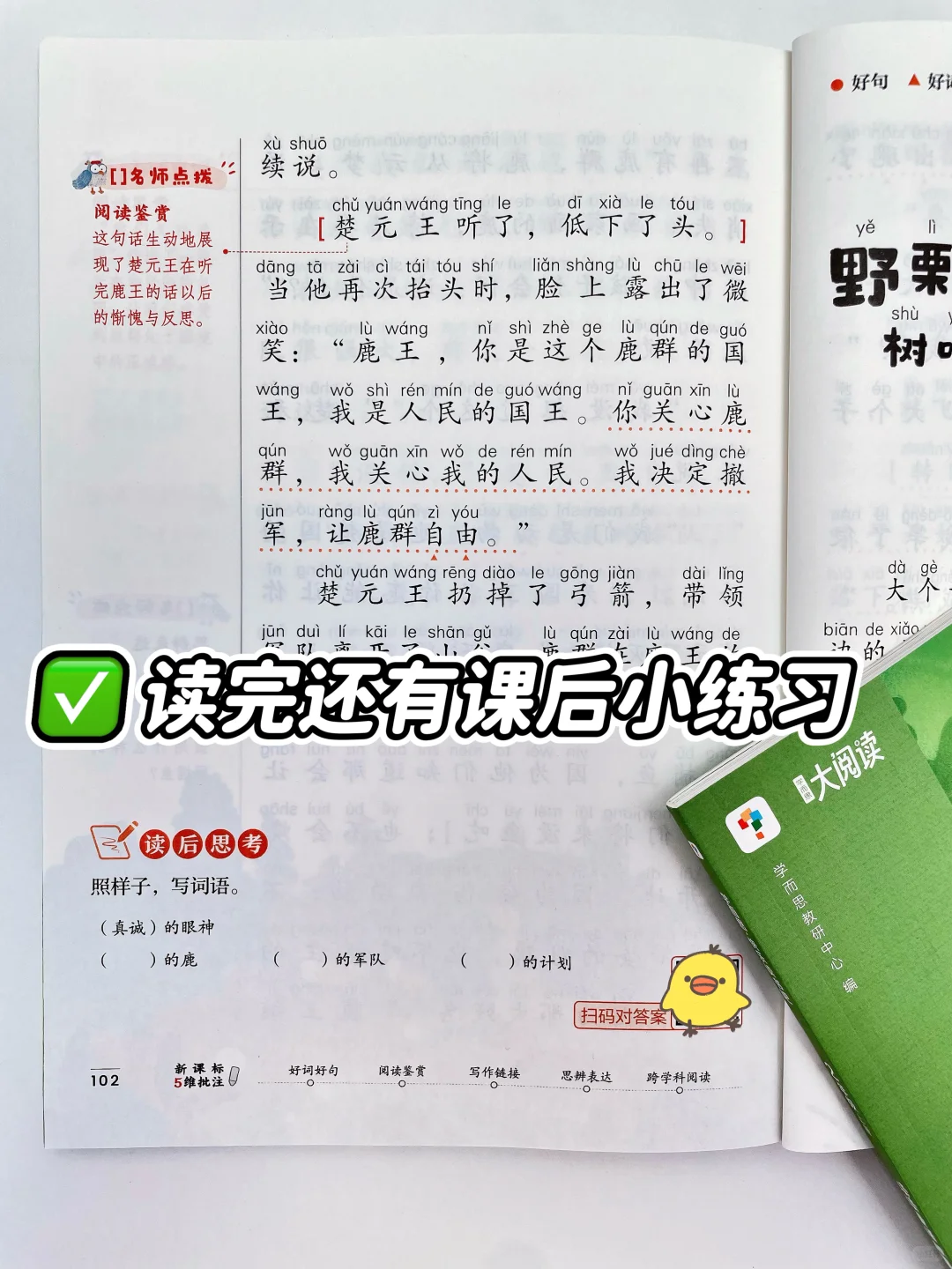 暑假不卷不鸡，抓住“阅读”开学就领先❗️