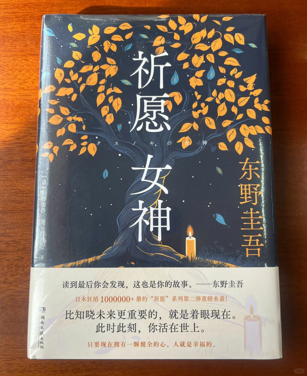 传闻这本是磨铁出版，不知道啥时候出