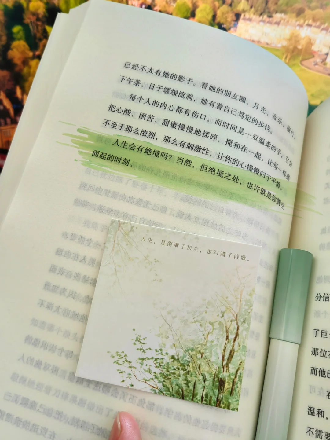 一眼沦陷，怎么会有这么温暖的书啊🥰！！