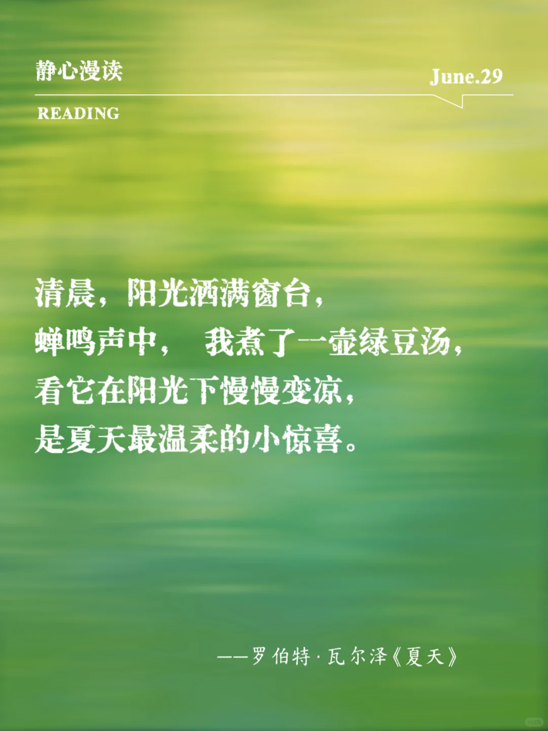 文学中的“夏日浪漫”，透着清凉的薄荷味！