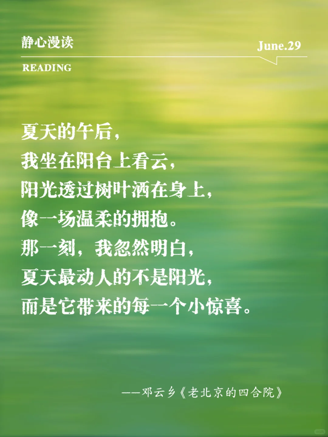 文学中的“夏日浪漫”，透着清凉的薄荷味！