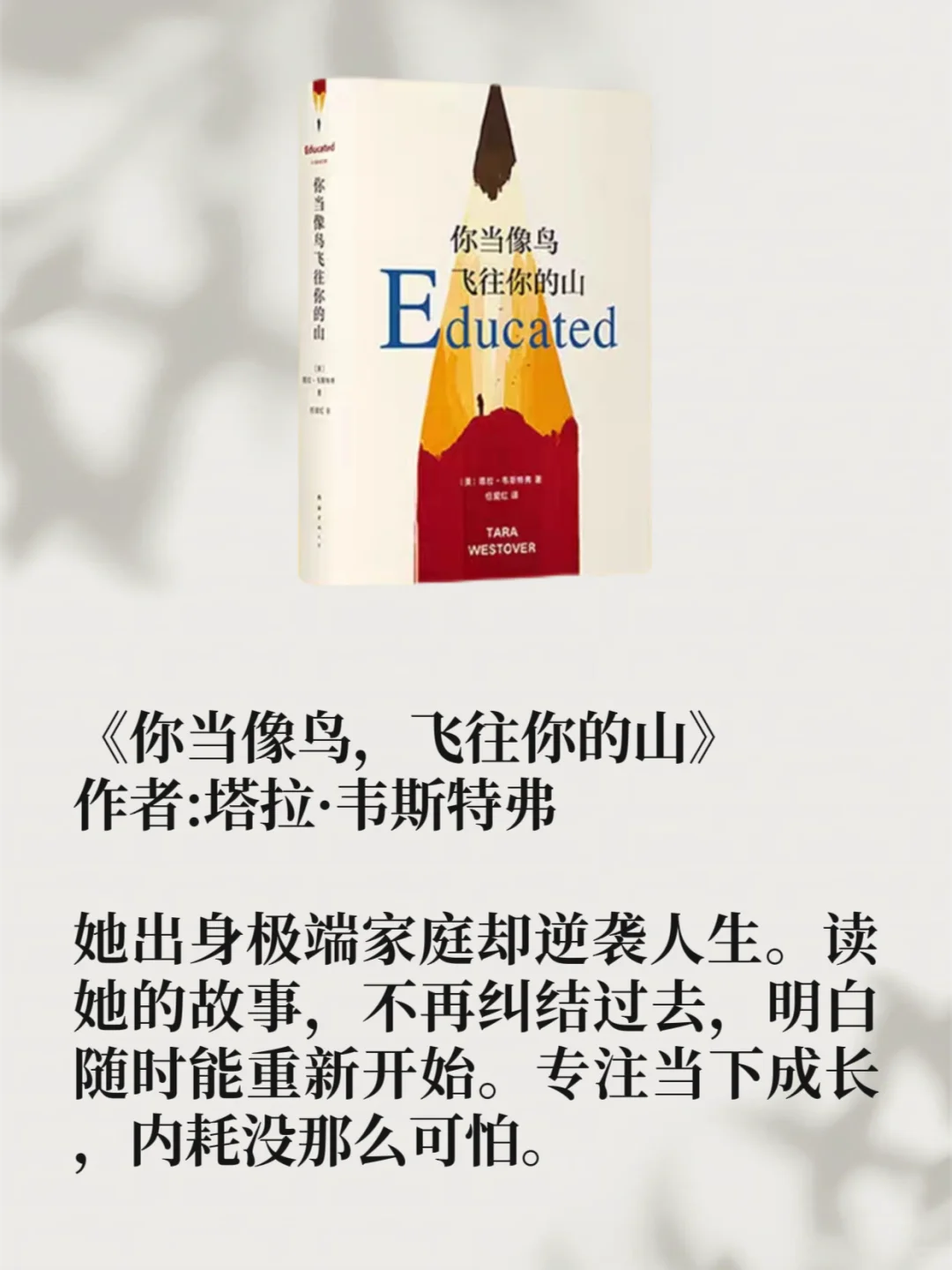 🔥真不是吹！这5本书直接把我内耗治好了