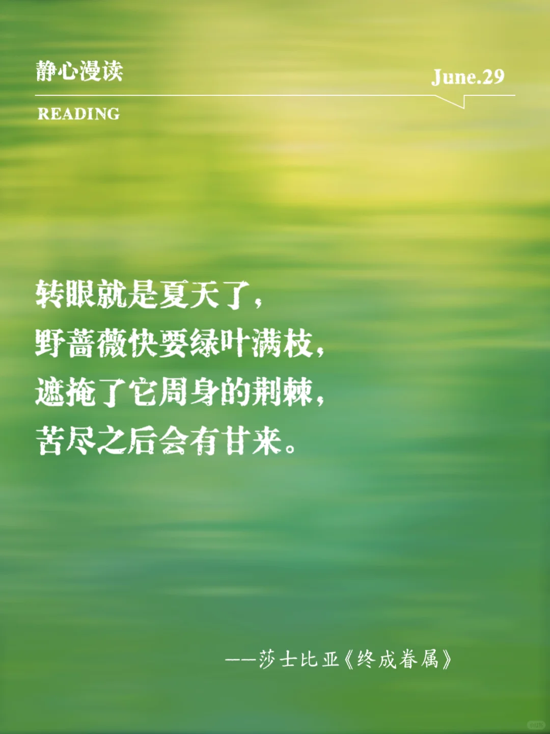 文学中的“夏日浪漫”，透着清凉的薄荷味！