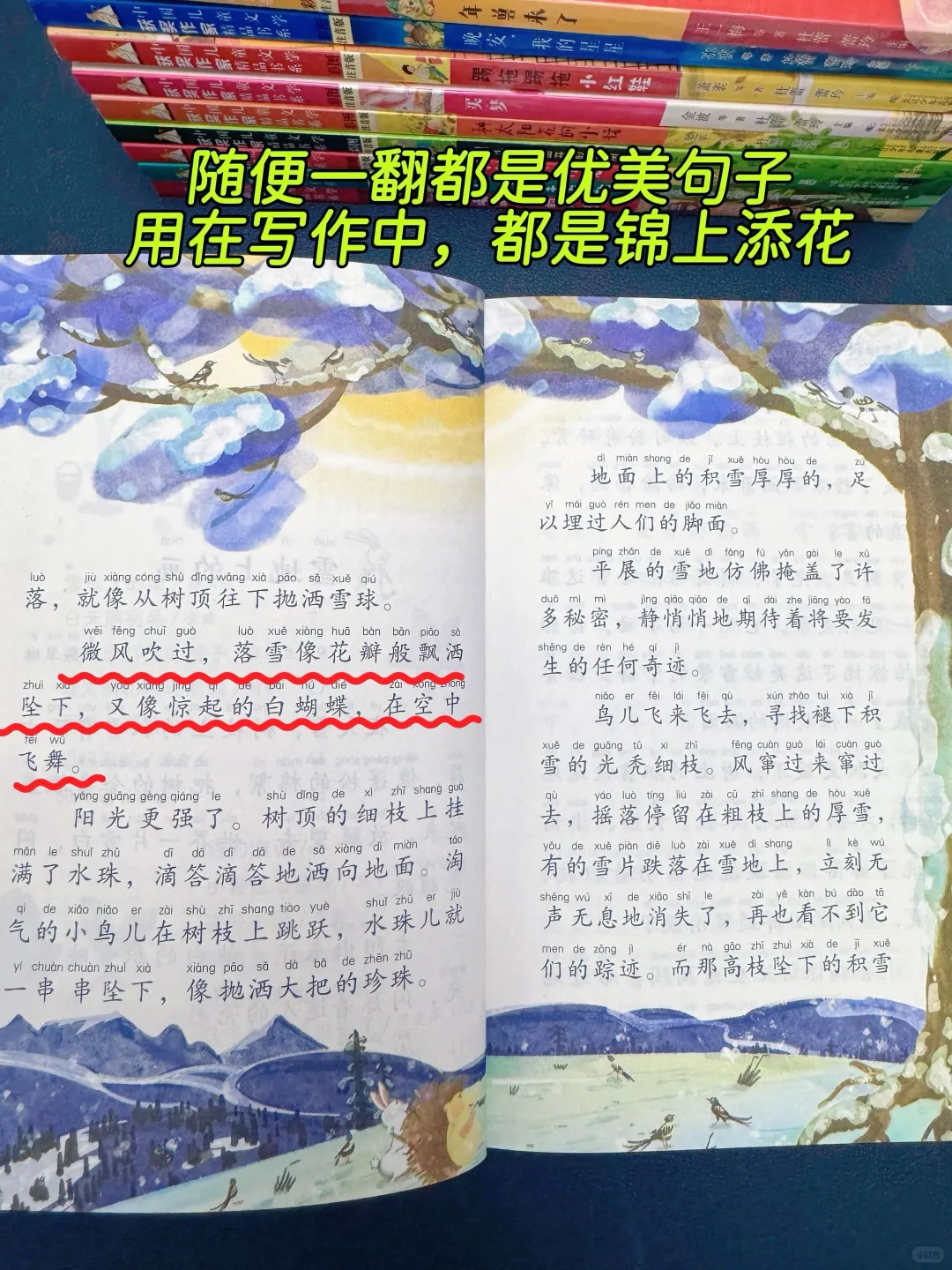 三年级之前让孩子读完这套书！