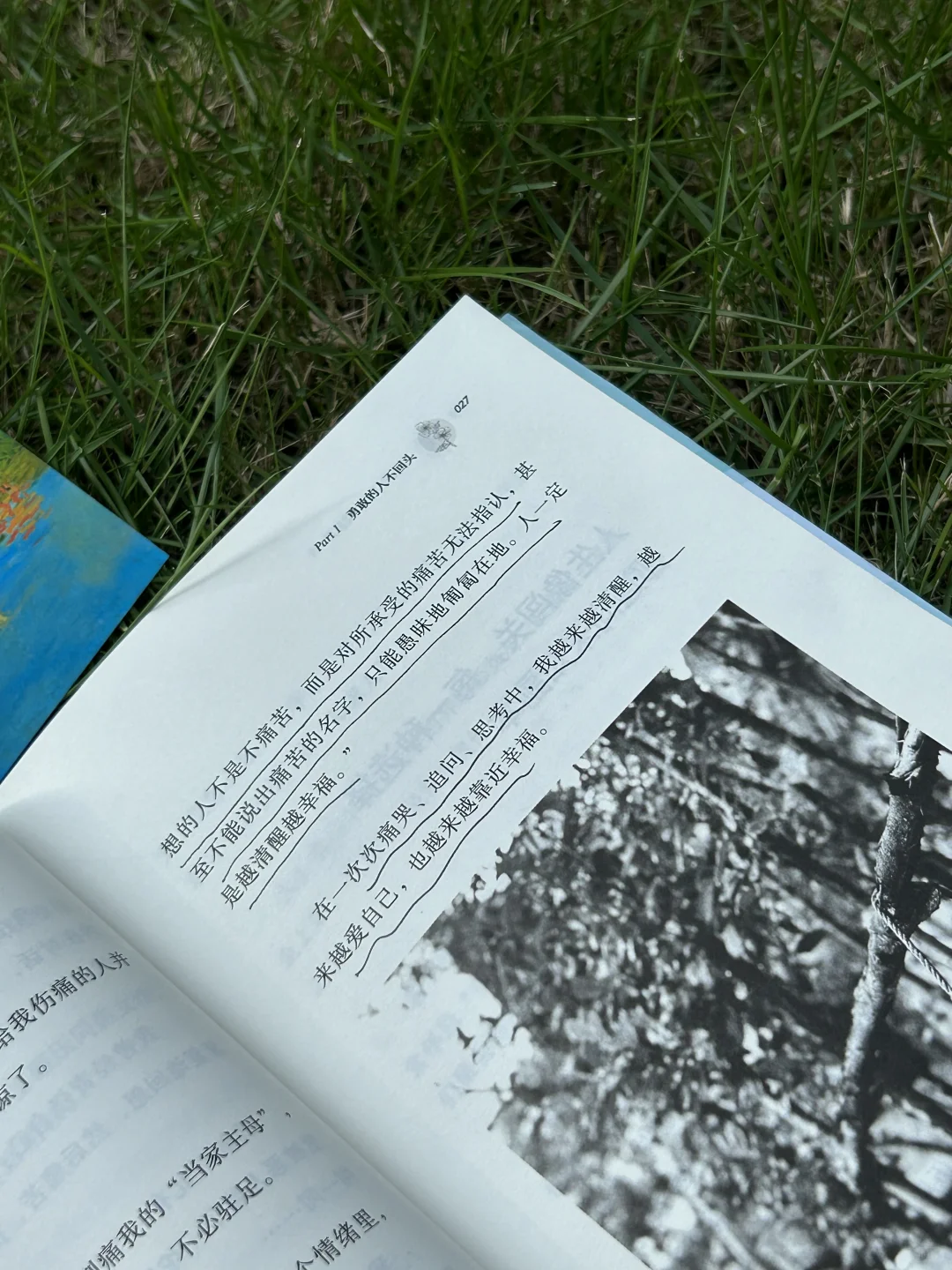 超温暖有力量，这本书治愈了我的焦虑内耗