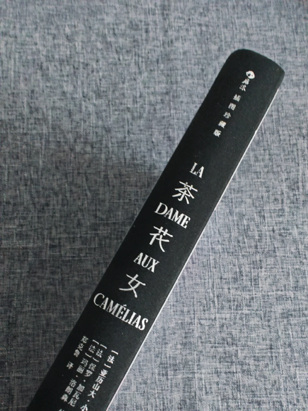 当她决定放任自己时，就已失去了被爱的权利