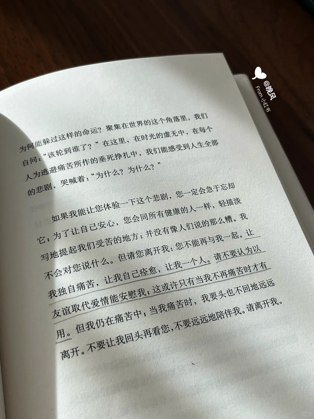 “如果你不再爱我，请离开我。”