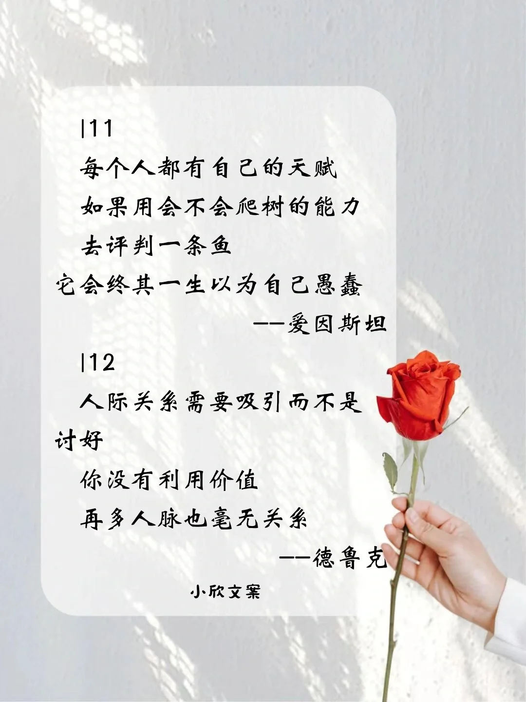天花板级别的名人名言