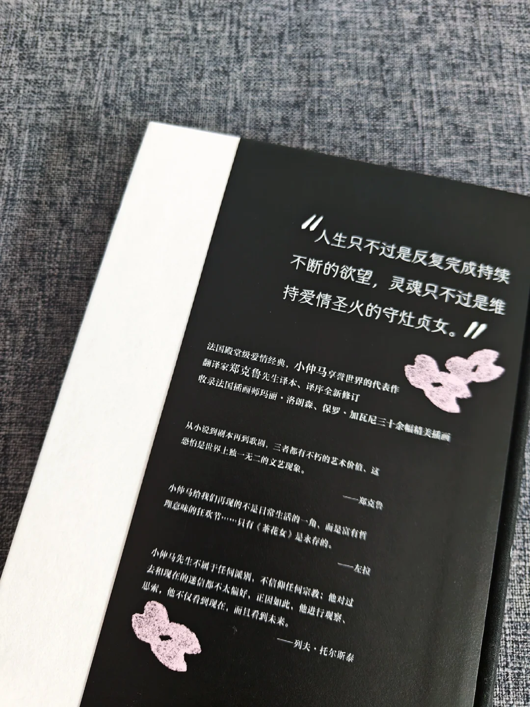 当她决定放任自己时，就已失去了被爱的权利