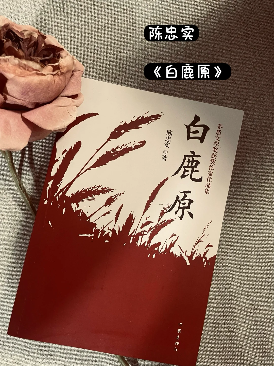 国内现代文学Top 20 📚你读过几本❓