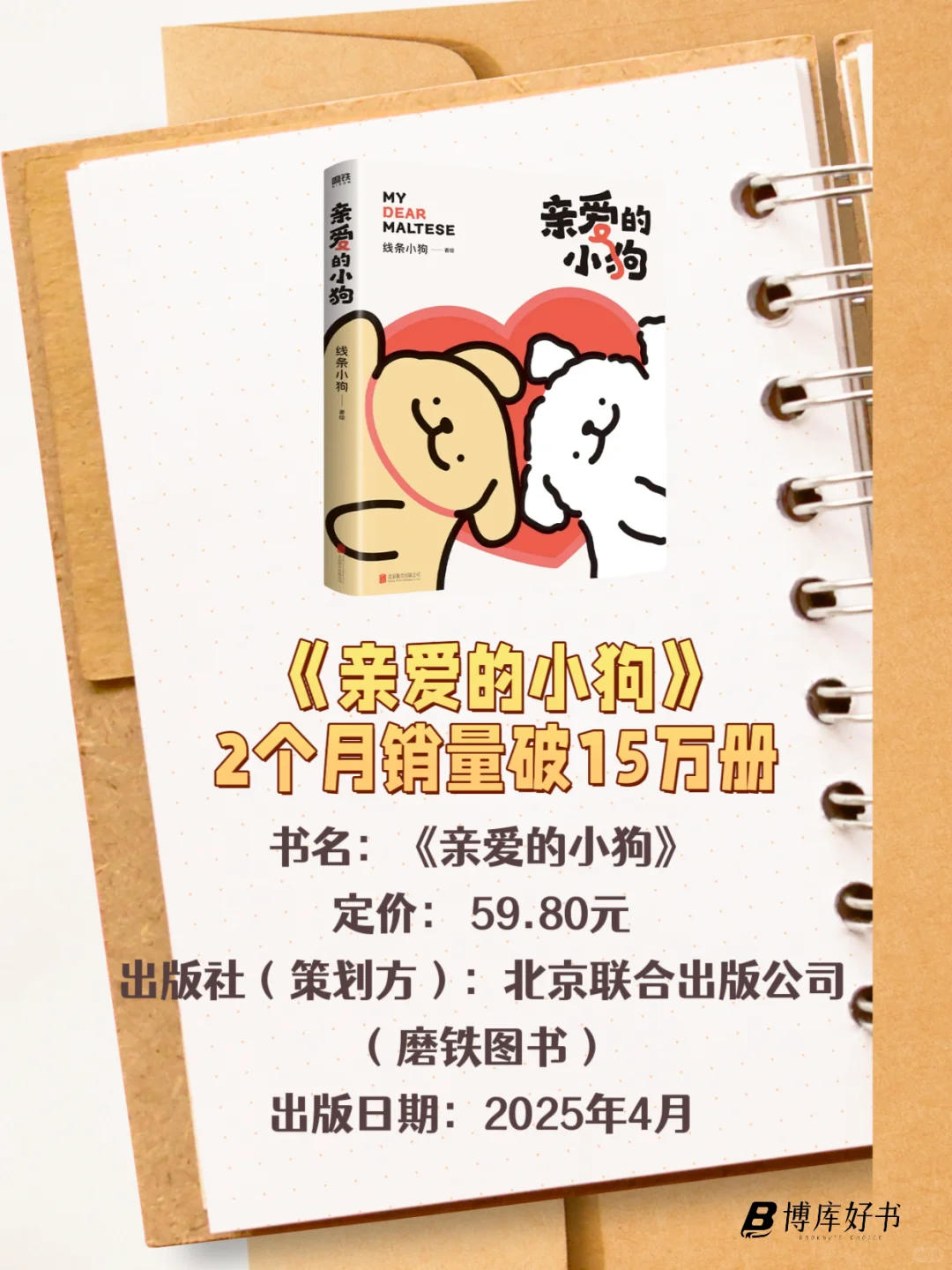 📚2025年上半年爆款新书清单来啦！不踩雷