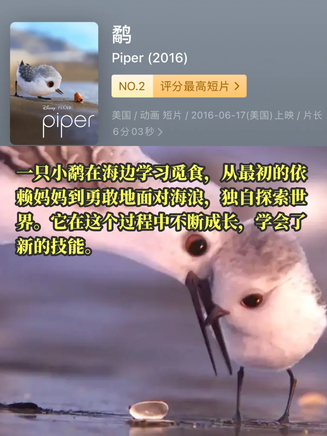央视力荐❗️9部美国必看动画短片…