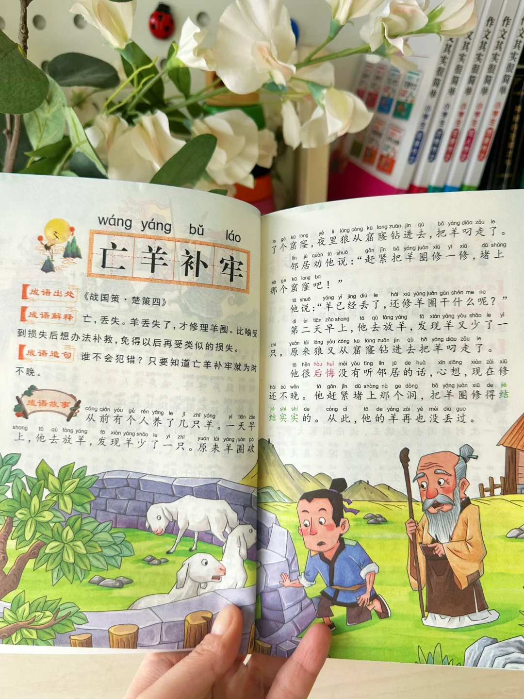 挖到宝了，看完这套书 娃学会了200+个成语❗