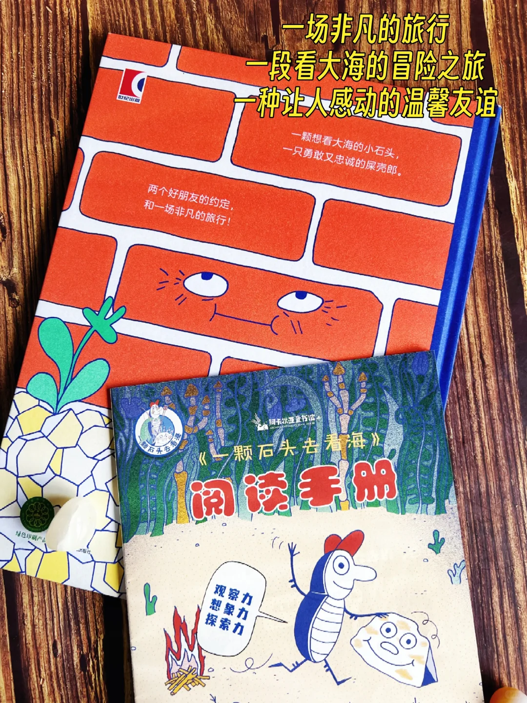 💥全网催更的《昆虫旅馆》续作！闭眼入❗