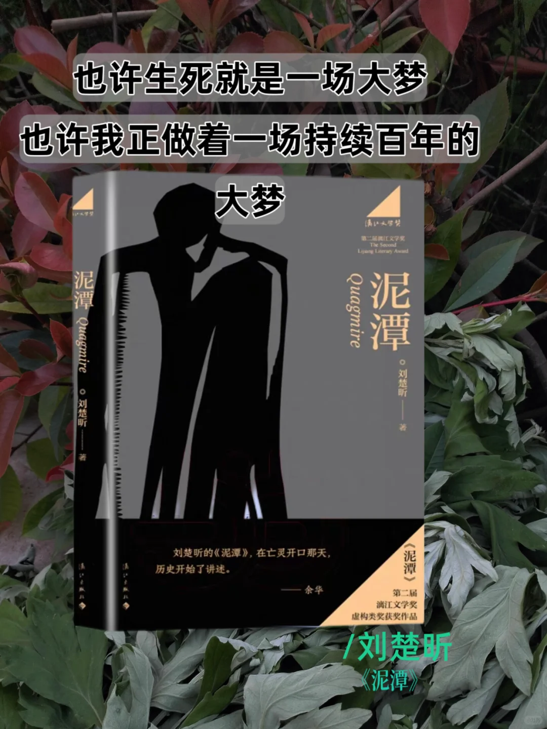 没有理由不推荐刘楚昕《泥潭》