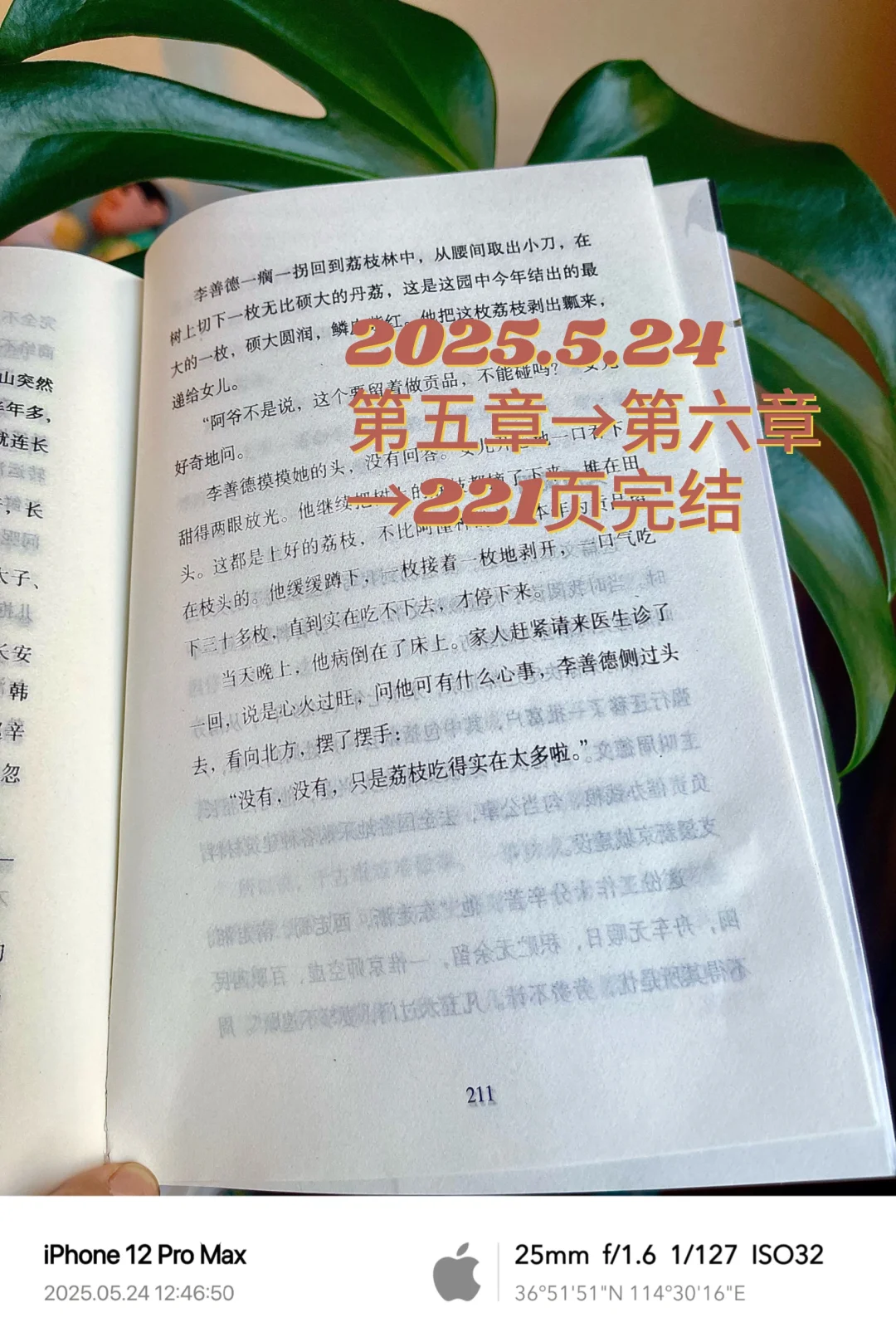 阅读书单No.04︱2025.5.24《长安的荔枝》