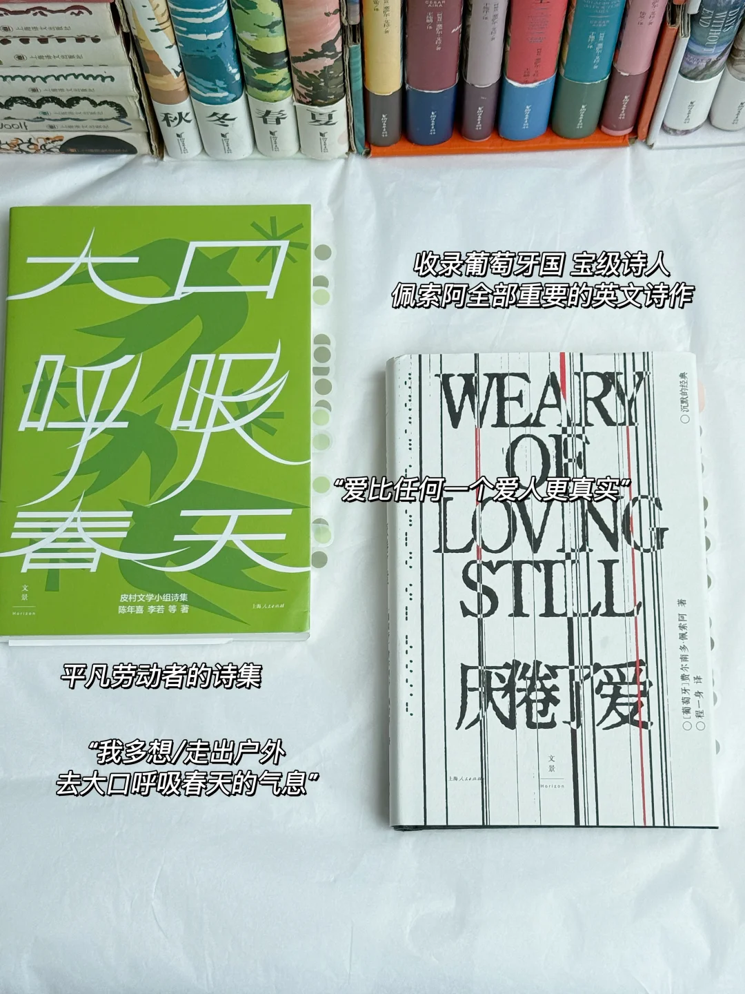 6月读了19本书