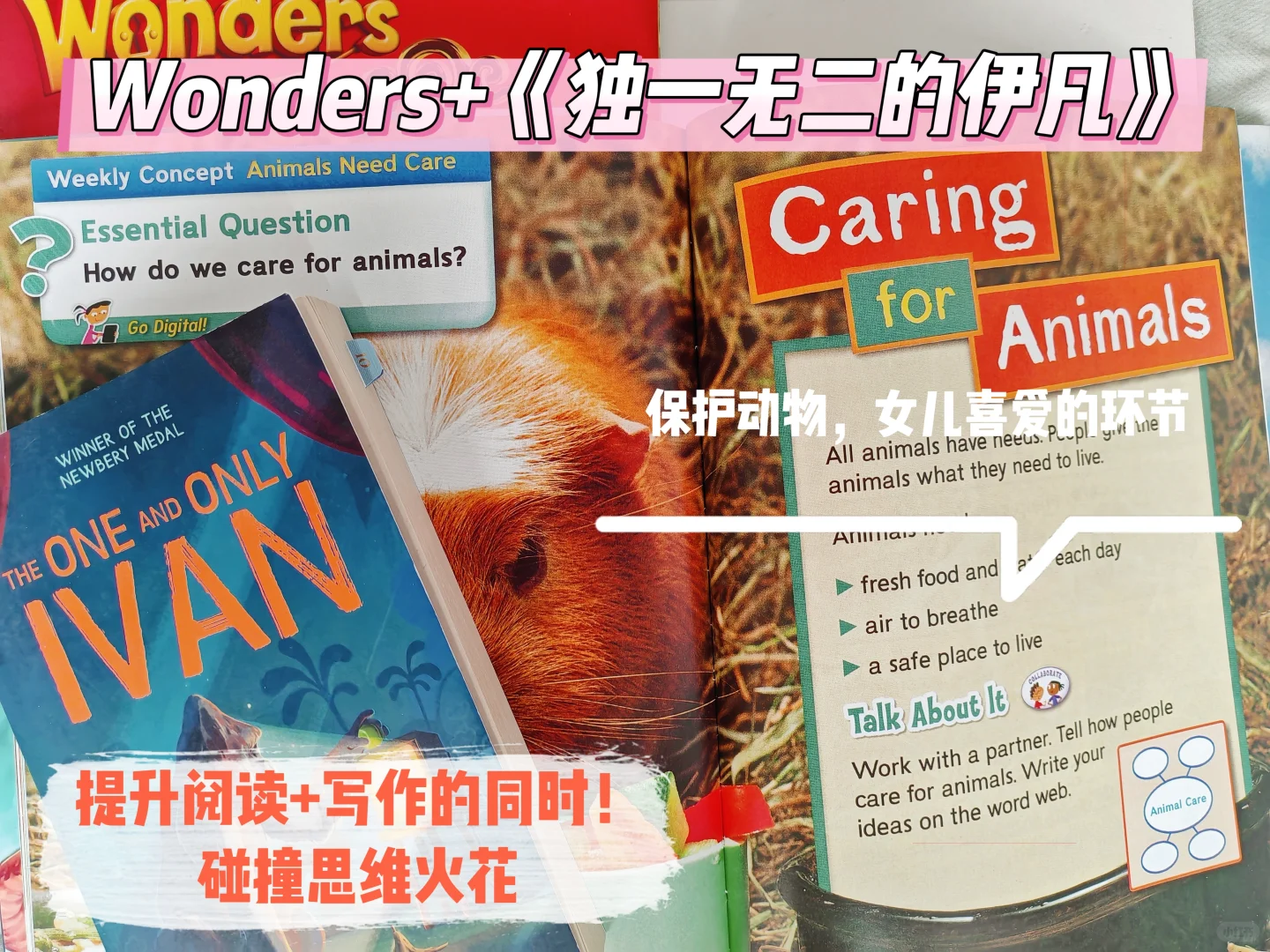 暑假原版娃好书！2025纽伯瑞必读！