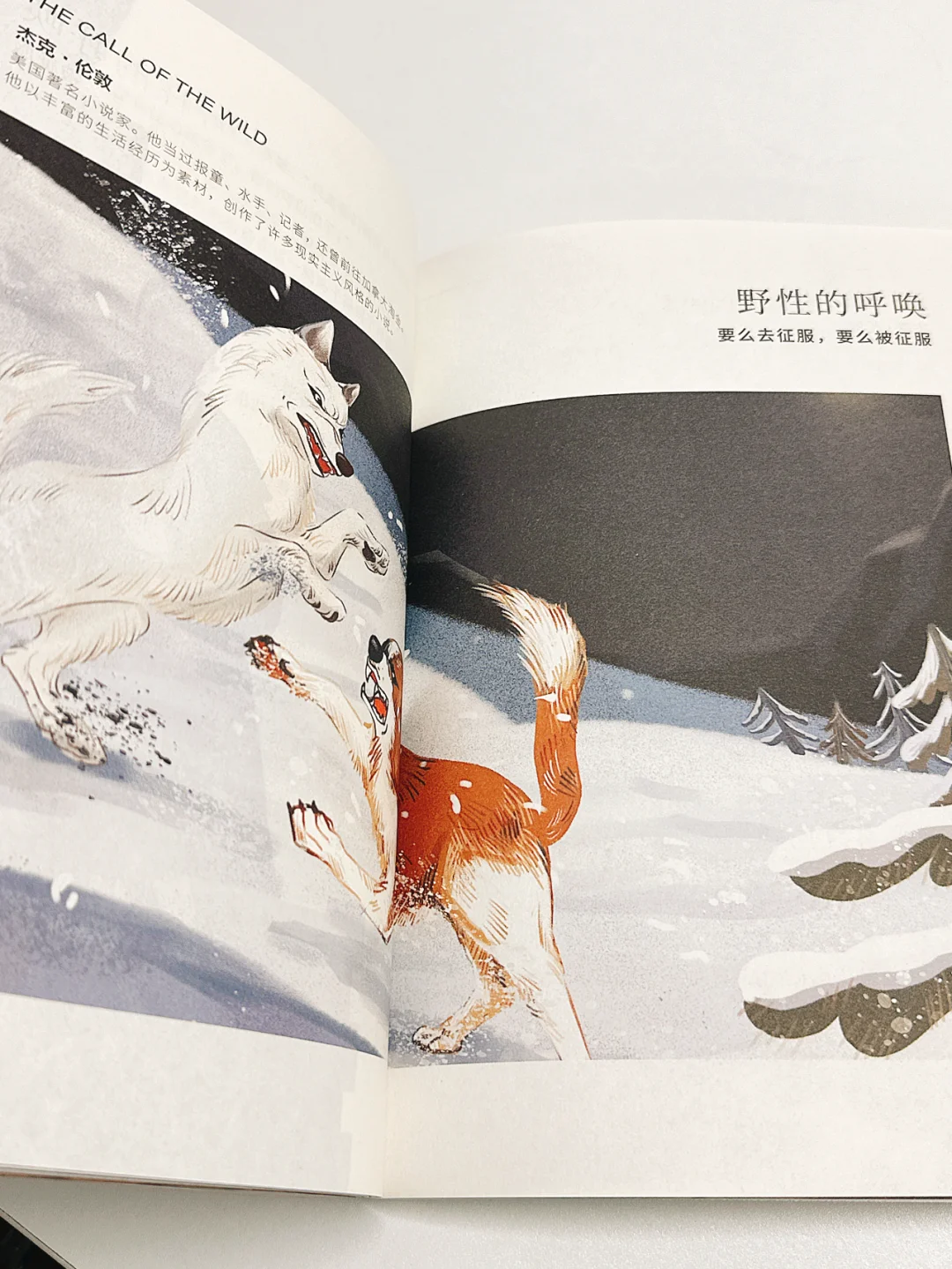 小学必读经典名著书单