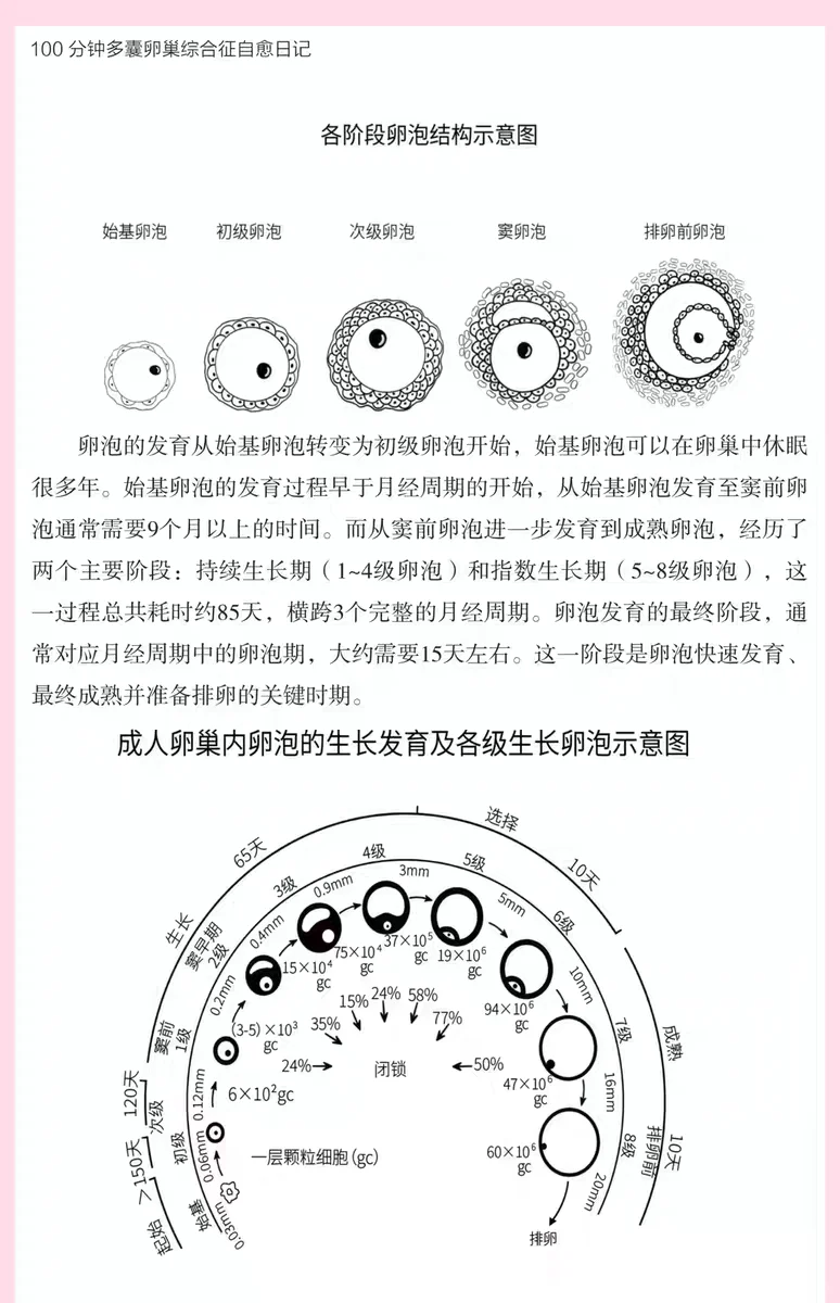 新书推荐，下一个爆款书籍