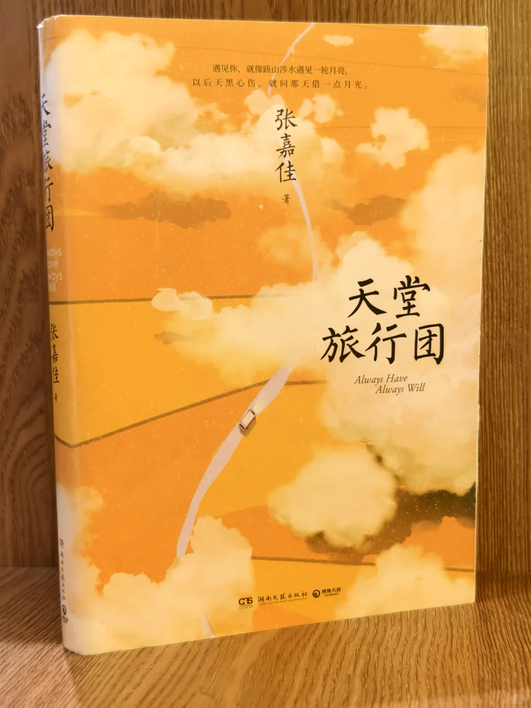 张嘉佳最虐新书｜生命是场向死而生的旅行