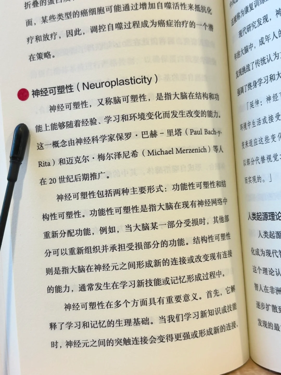 脑洞大开的“装腔指南”🤌🏻1000个创意关键词