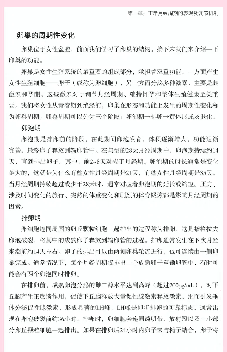 新书推荐，下一个爆款书籍