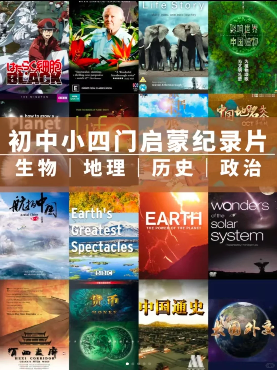 暑假陪孩子必看的央视力荐的少儿纪录片