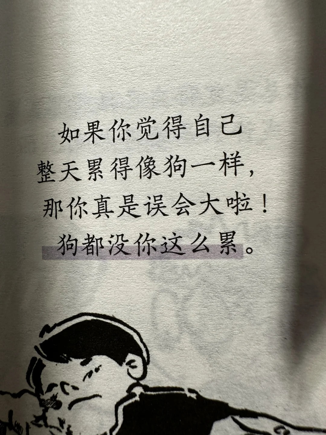 被这本书治愈了！❤️❤️