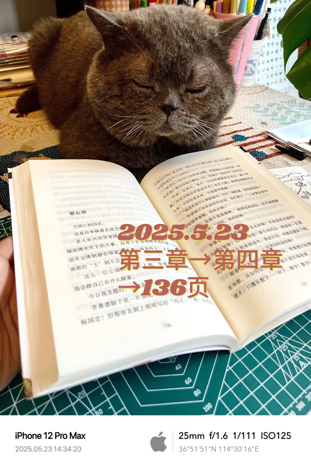 阅读书单No.04︱2025.5.24《长安的荔枝》