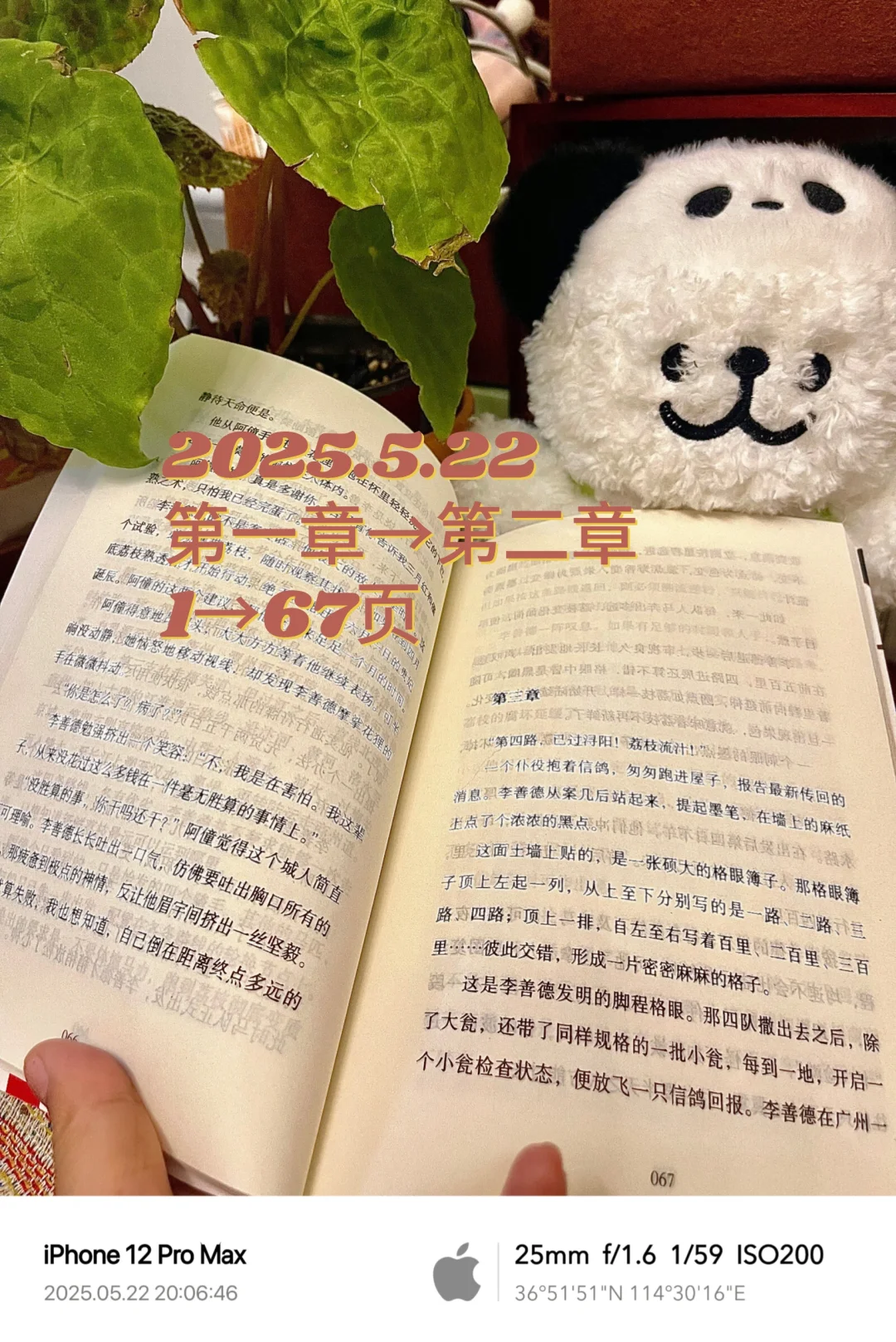 阅读书单No.04︱2025.5.24《长安的荔枝》
