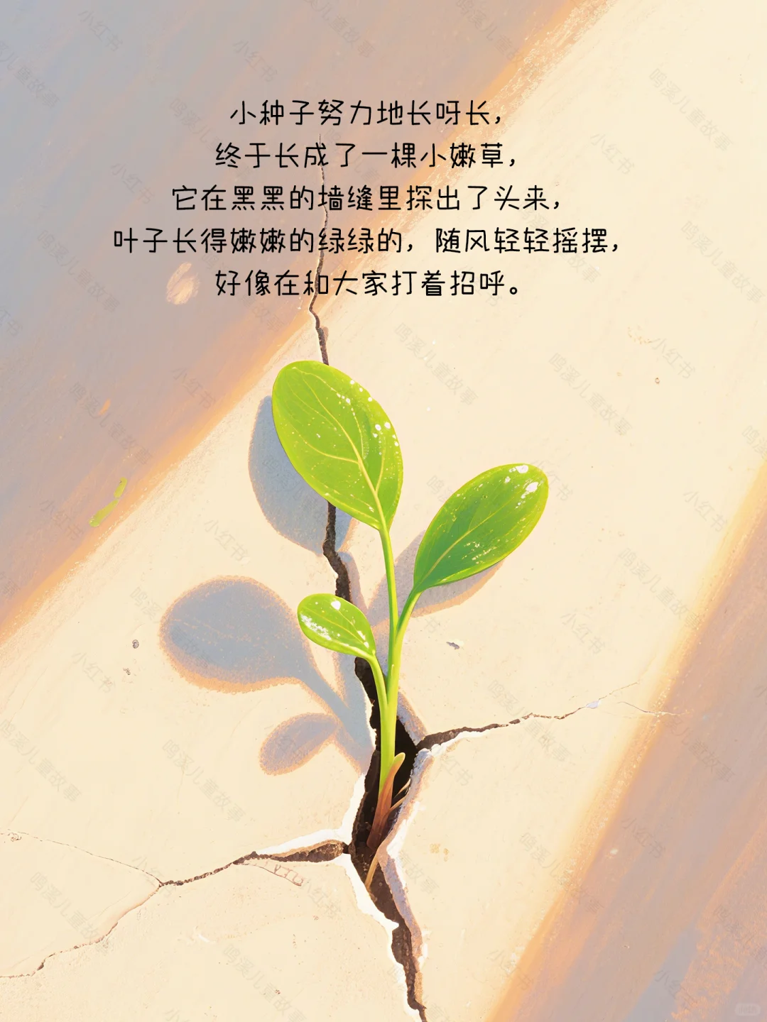 温暖治愈系丨儿童绘本故事《角落里的小种子》