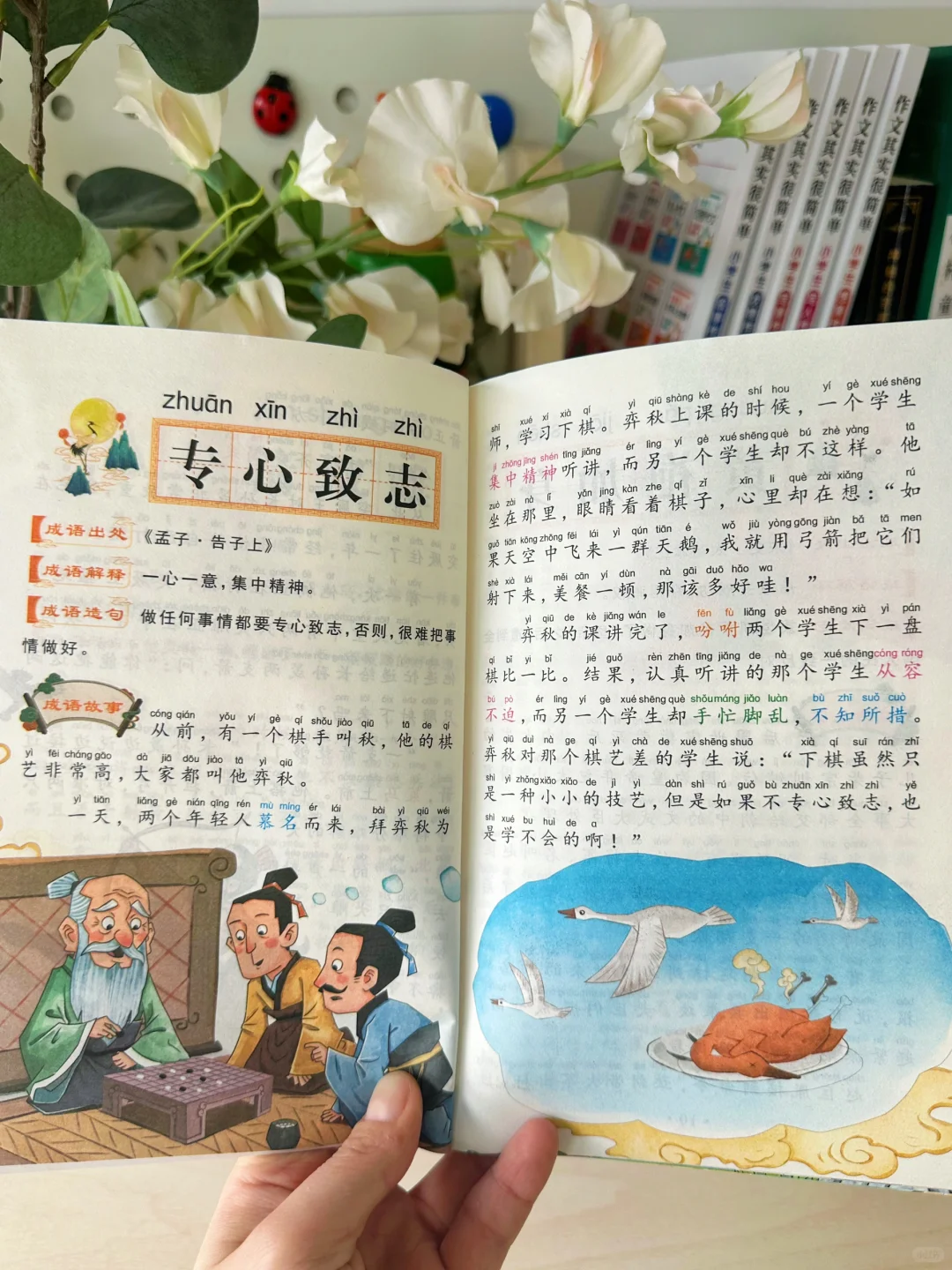 挖到宝了，看完这套书 娃学会了200+个成语❗