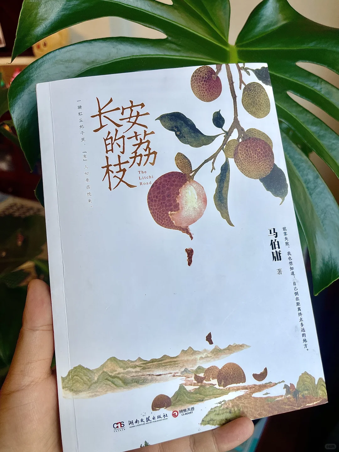 阅读书单No.04︱2025.5.24《长安的荔枝》