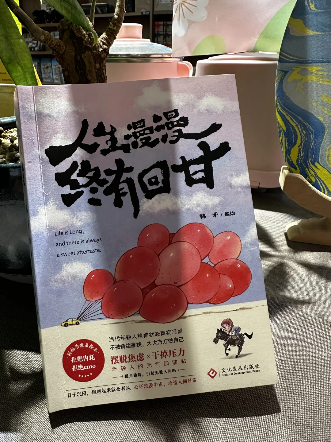 被这本书治愈了！❤️❤️
