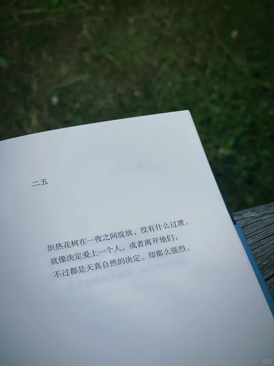 巨惊艳，有想抄书的冲动！