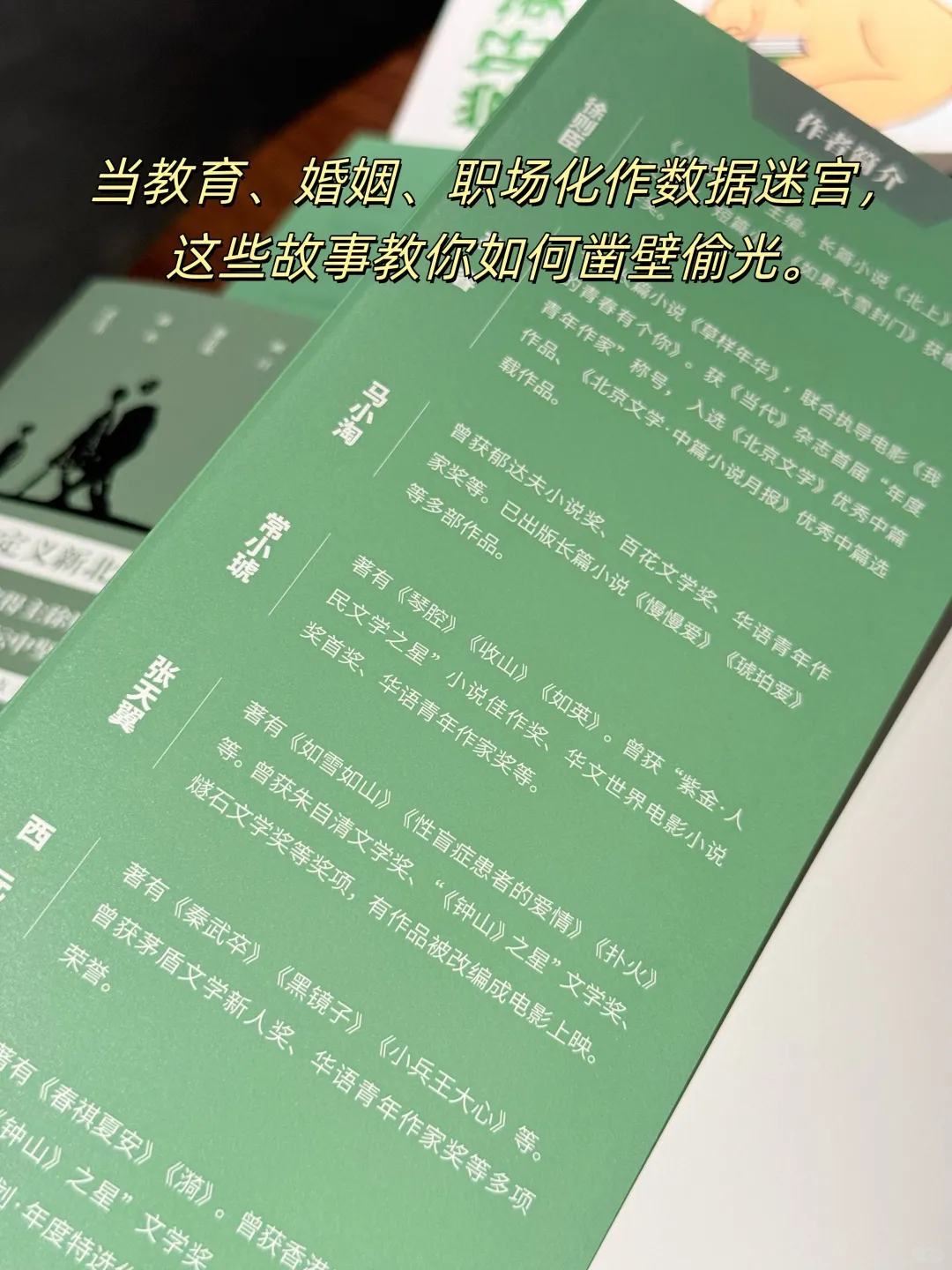 《文起京华》新书上市🔥