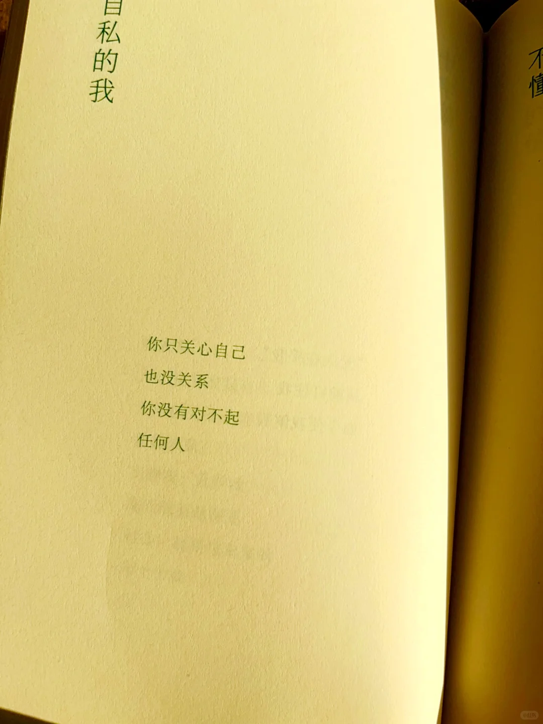 少量特签版《日子很好，我很我》返场啦！