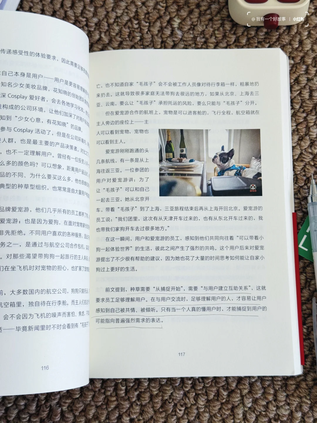 2025想做小红书的姐妹们💥快看这本书学习‼️