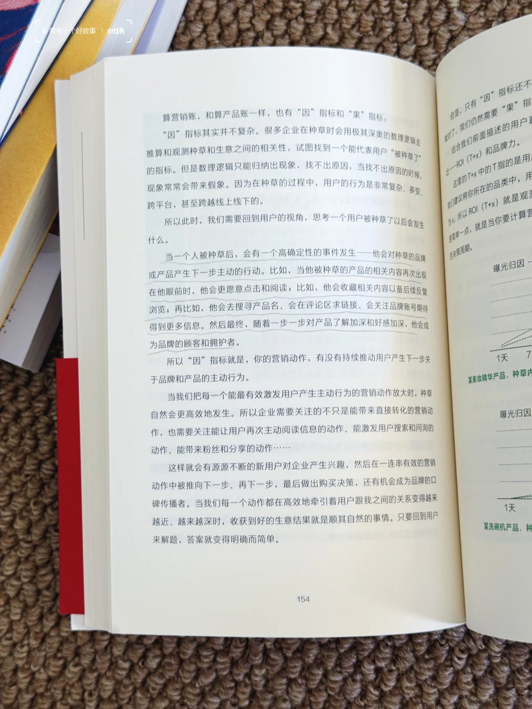 2025想做小红书的姐妹们💥快看这本书学习‼️