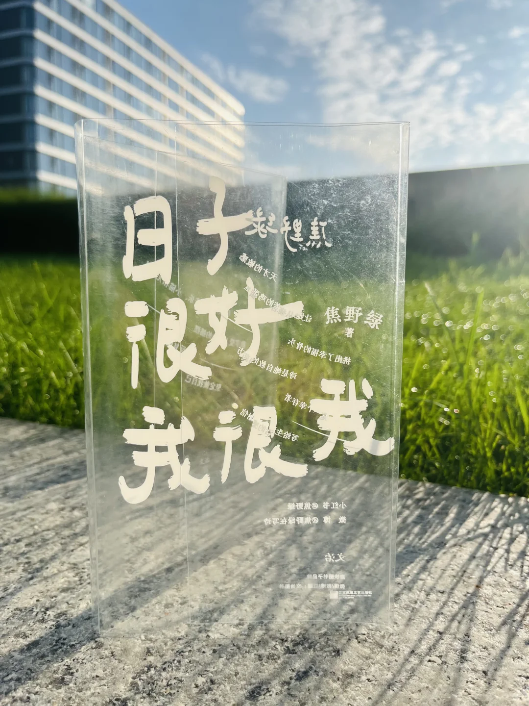 少量特签版《日子很好，我很我》返场啦！
